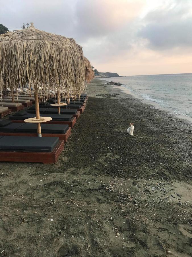 La Playa Boutique Apartments Миртеа Экстерьер фото